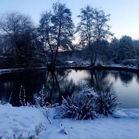 Au Bord D'un Etang *