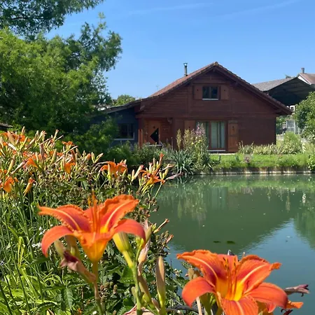 Au Bord D'un étang Chalet *