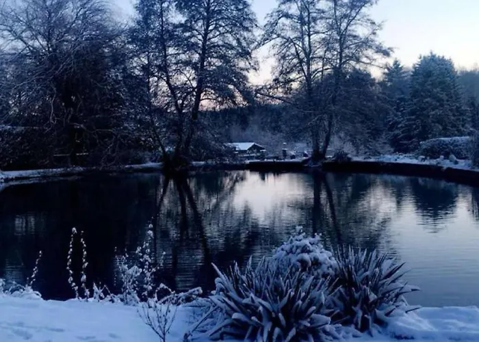 Au Bord D'un Etang *